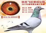 �����ɺ紺��ǰʮ��Ӣ�����գ�ͼ��