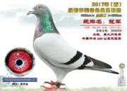 �Ĵ�����������ɶ���30089��ھ�������