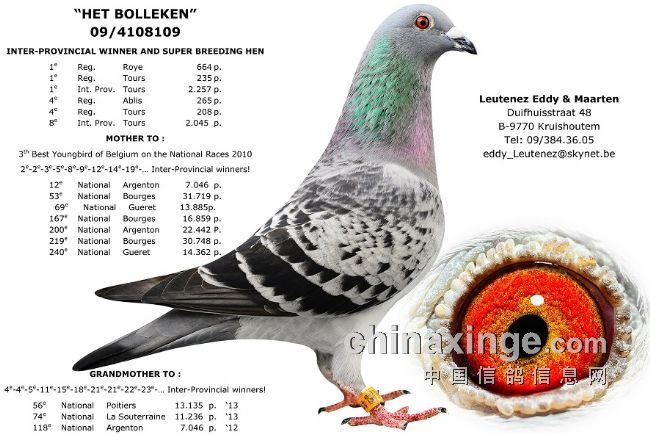 ÿ��һ�룺�������˶����ڵġ�С�����š�