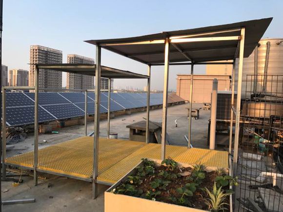 �����ġ��������ᡱ������֣�