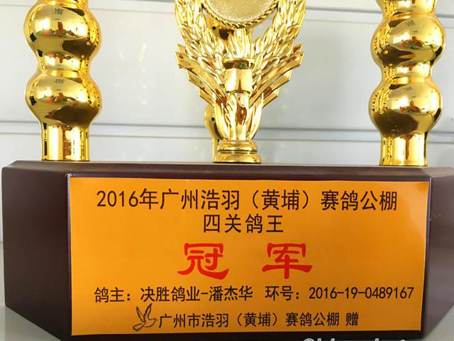 ���Ĺظ����ھ�����ѧ���ڰ�����