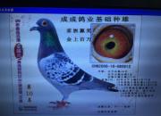 �ҵ��λ��峤������������ķ