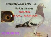 �ɾ�һ·��ϵԴ��ʵս 