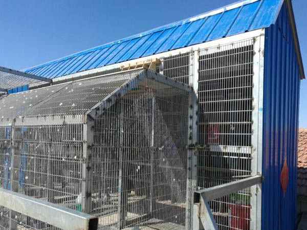 ��ª�ᡱ��ª������ɹ����