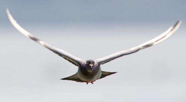 ����28����ʿ̤����; ������ս1500���ﳬԶ��