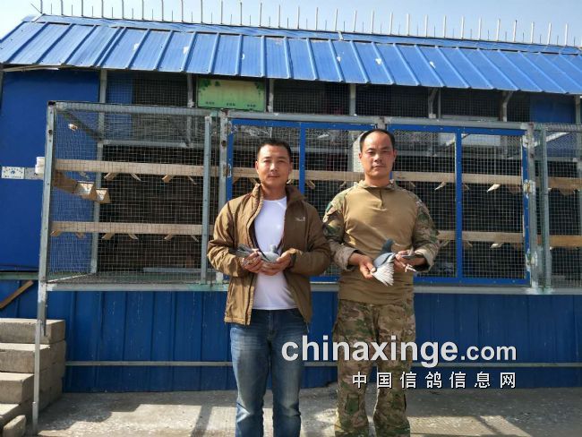 ���ݸ�̳ɱ��һƥ������������ר���Ĺ����������