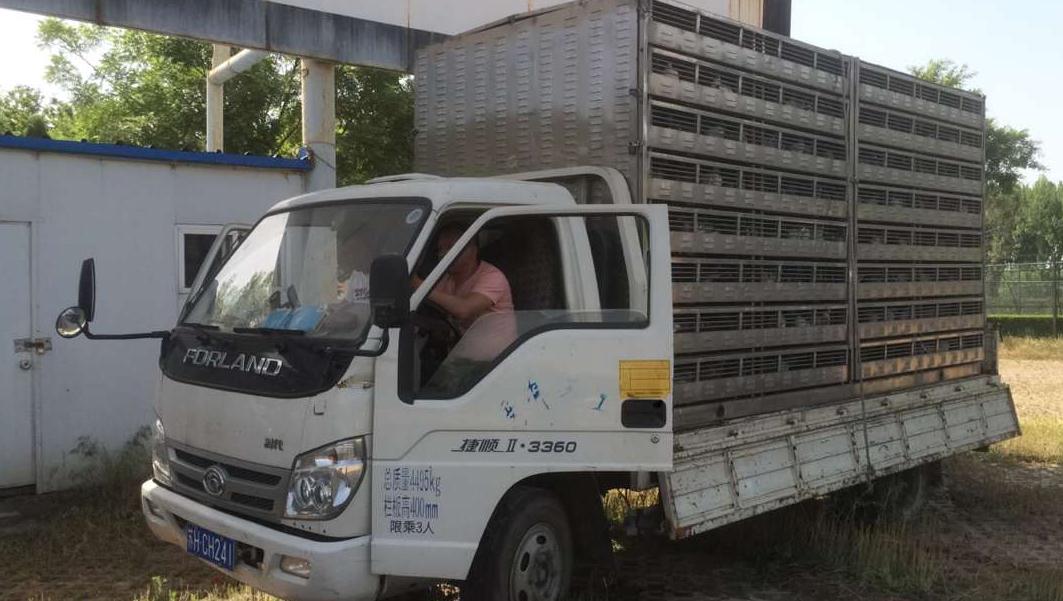 ֣ݹ±복½ִ Աˮʳ