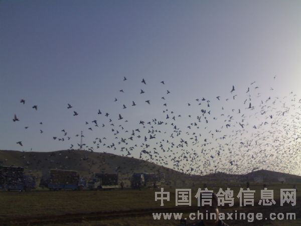 ֺؿ˲䣺9204սʿ ع