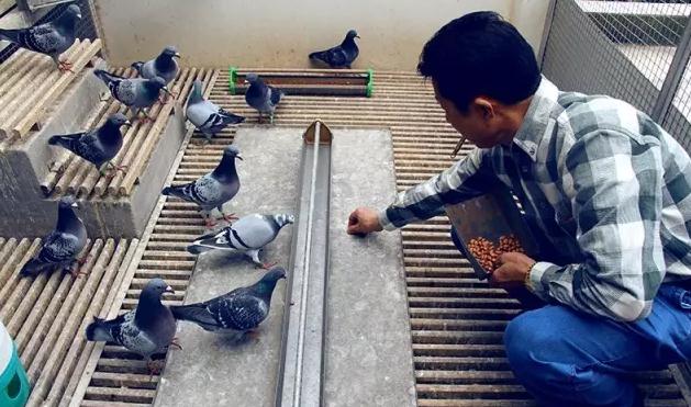 ��������������պ͸���鵽��������