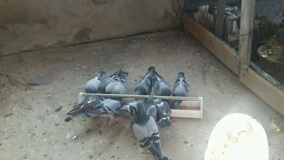 ���飺����ѡ�ڸ�¥��������