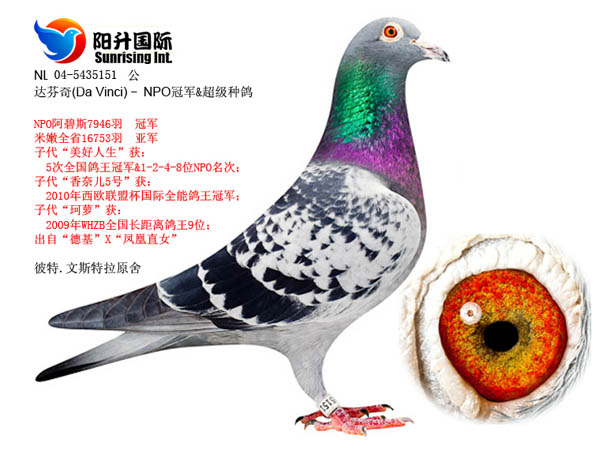 ÿ��һ�룺7946��ھ�16753���Ǿ�������桱