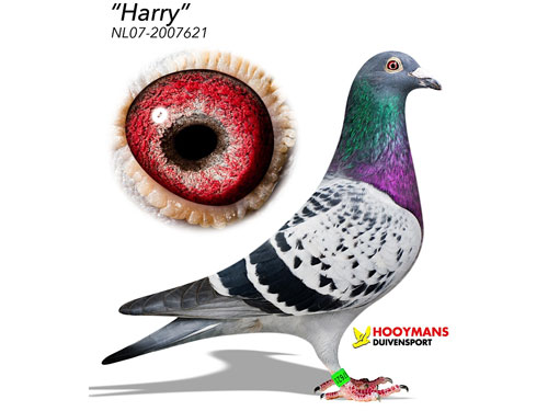 ÿ��һ�룺�����롰������