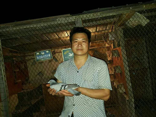 ���߹�������������1500��������鳲������