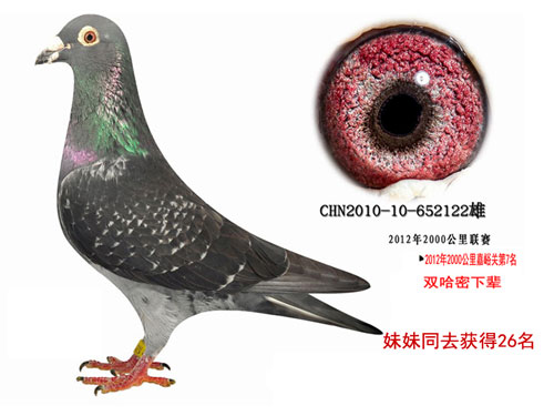 ����ͬ�ɼ����س�Զ�̸�λ�ά