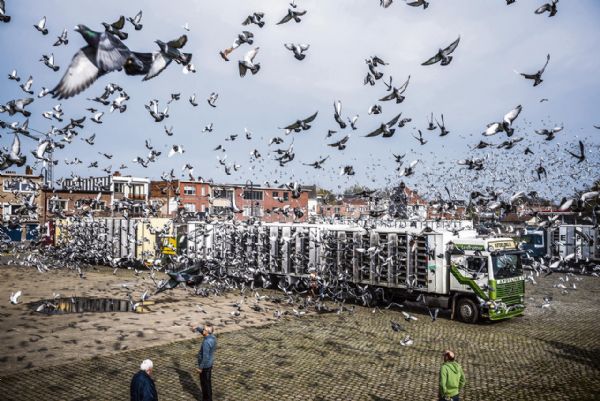 ��ƿ�16�𡰼⵶�ࡱͻ�����������λ