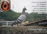 ��������������λ��Ȩ��һ��