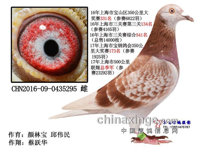 ��2017���Ϻ���500�������輾��