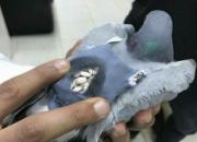 �����أ��Ÿ뱳���ھ����ж�Ʒ