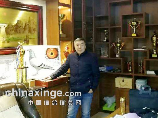 �����Ⱥ���д���֮����Ұ���ǣ���͸߹�ƽ