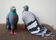 ���ӿ�߸�Ь ������ʦ�ҷ���