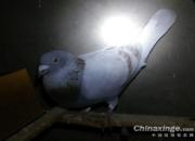 ����ʹʧ���� �ĺ�ܽ���һ��