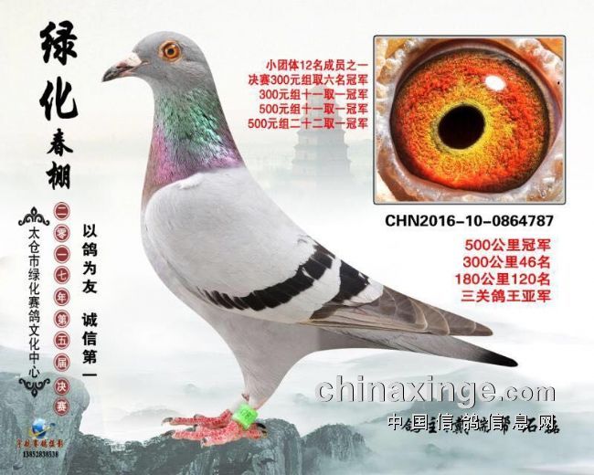 ר�ã����ι���ھ������(ͼ)