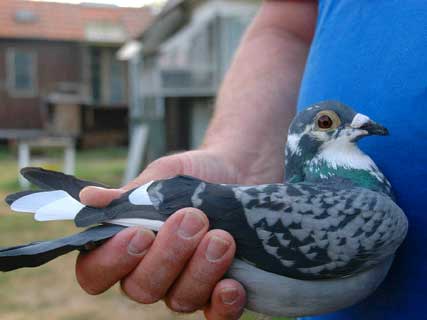 һ��ͷ��ñ���ʱ������I����ھ�