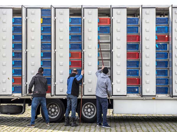 ��ƿ�ԭ������ 2����������ǰ10��