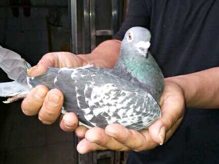 �ֵ���һ�ɵ��� ��վ���ݳ�Զ��