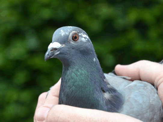 ����ʱ���������54132��ͬ�վ���