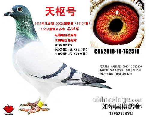 ÿ��һ�룺ͬ���ֵ���ն��Զ������λ