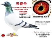 ÿ��һ�룺ͬ���ֵ���ն��Զ������λ