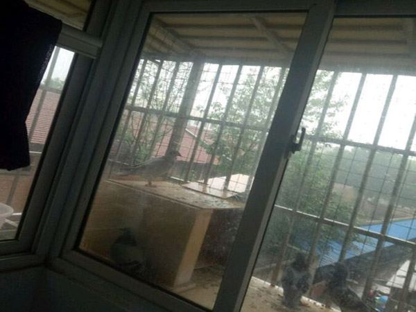 �����ָ�㣺�������ô��ƺã�