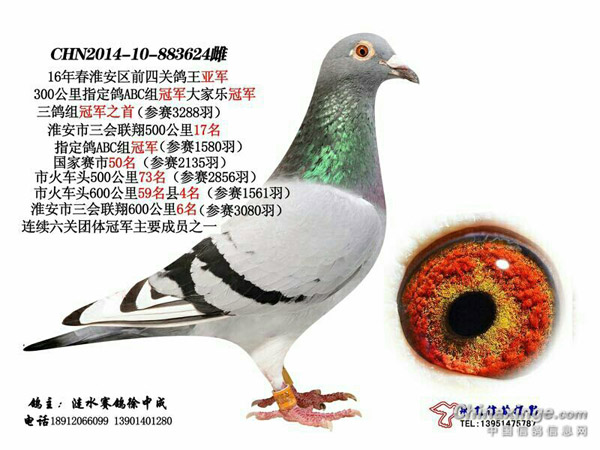 �������ҵĸ���������ǧ����ǰ����