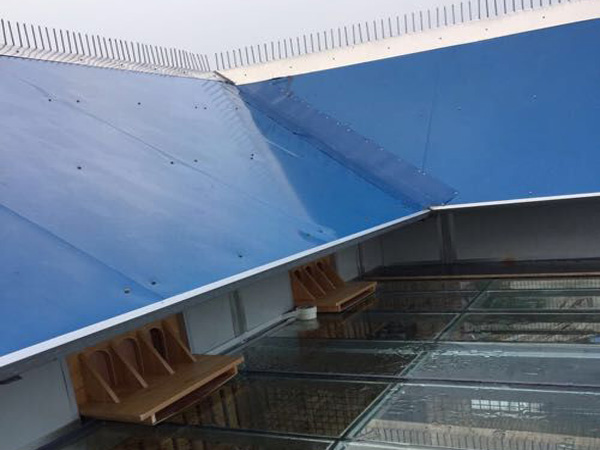 ��Ϊ�����Ը��� ���꽨������