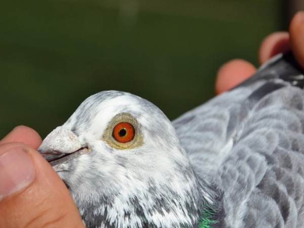 ����ʱ����˹������6846��ھ�����