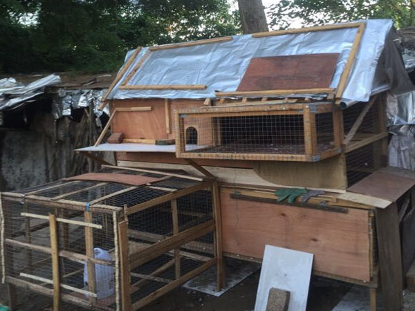 �Խ�С���� ��Ҿ�����ô����