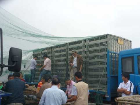 ��һ�ֳ������ճ�Զ��4415����˲��