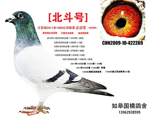 ÿ��һ�룺��Զ�̹ھ��ٷɳ�Զ��֮�������š�