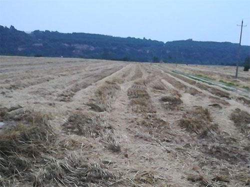 ��Զ����;���ѣ�����ʳˮ���� �����ƴ���·��