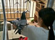 ��Ů���ѣ��׺�������������