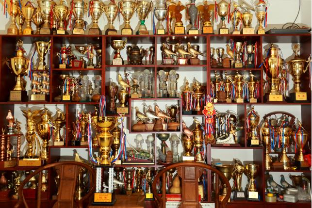 ʮ������ھ���¼�����Ĵ��桪����ԣ��