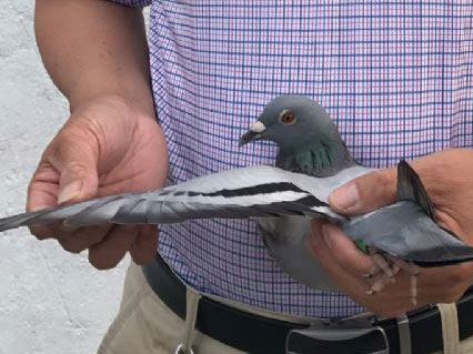 ���ճ�Զ�̣���ͨһ�˶���Ǿ� �񽱸�����