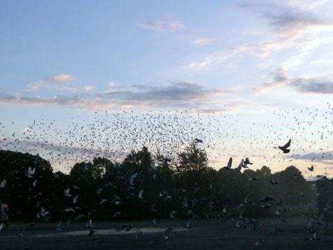 ŷ�޲��Ǵ�������������˾�ŵ� ����һ��