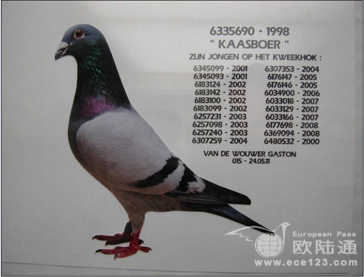 ÿ��һ�룺�������ָ롰����С�ӡ�