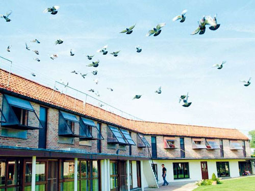 ����ʱ�Ǿ���I������36004�����