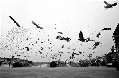 ��������Ѱ�Ҵ������Ľݾ�