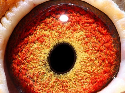 �⼸��������ɷ�ϲ����