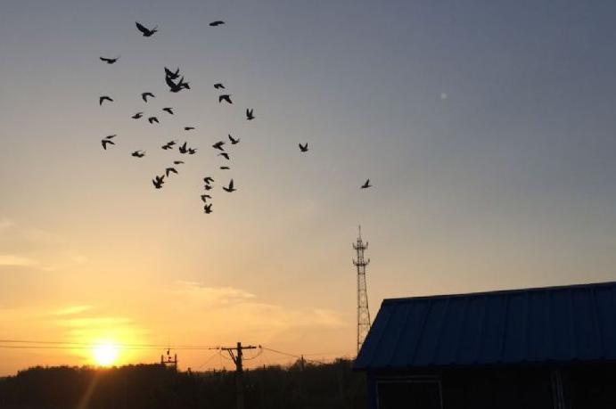 ���������������� ǧ����ھ���������