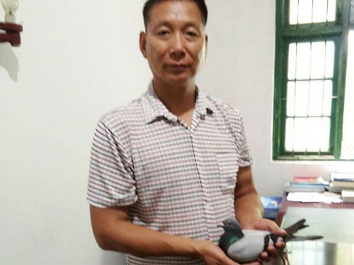 ����ʡ��Զ�̣�������ǰ���������Ƭ